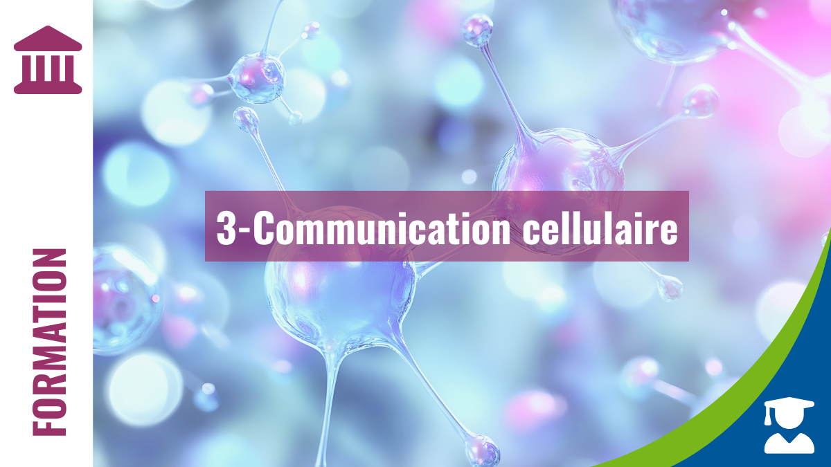 Module 3 - Communication cellulaire